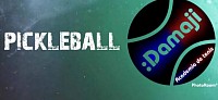 Pelota pickleball