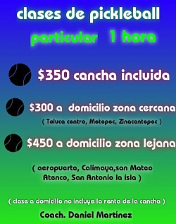 Pelotas , pickleball