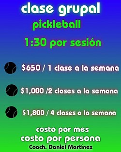 Pelota pickleball